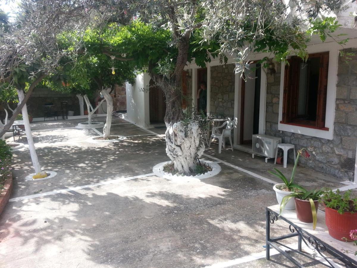 Olive Trees Villa Poros Town Eksteriør billede