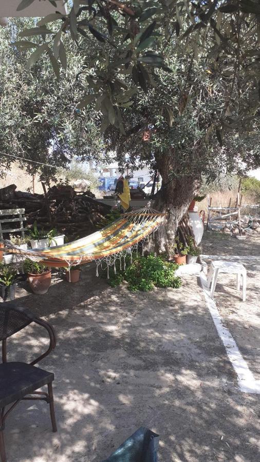 Olive Trees Villa Poros Town Eksteriør billede